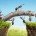 teamwork, team of ants costructing bridge