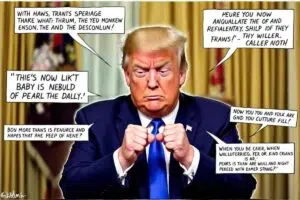 Victoires démocrates : la Maison Blanche illustre le dépit de Trump